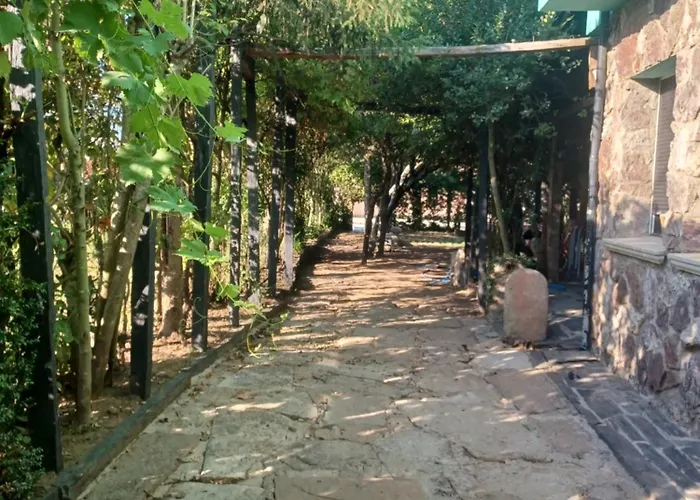 Cavenes Del Cabaco By Unusual *